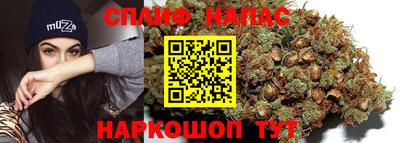стафф Коммунар