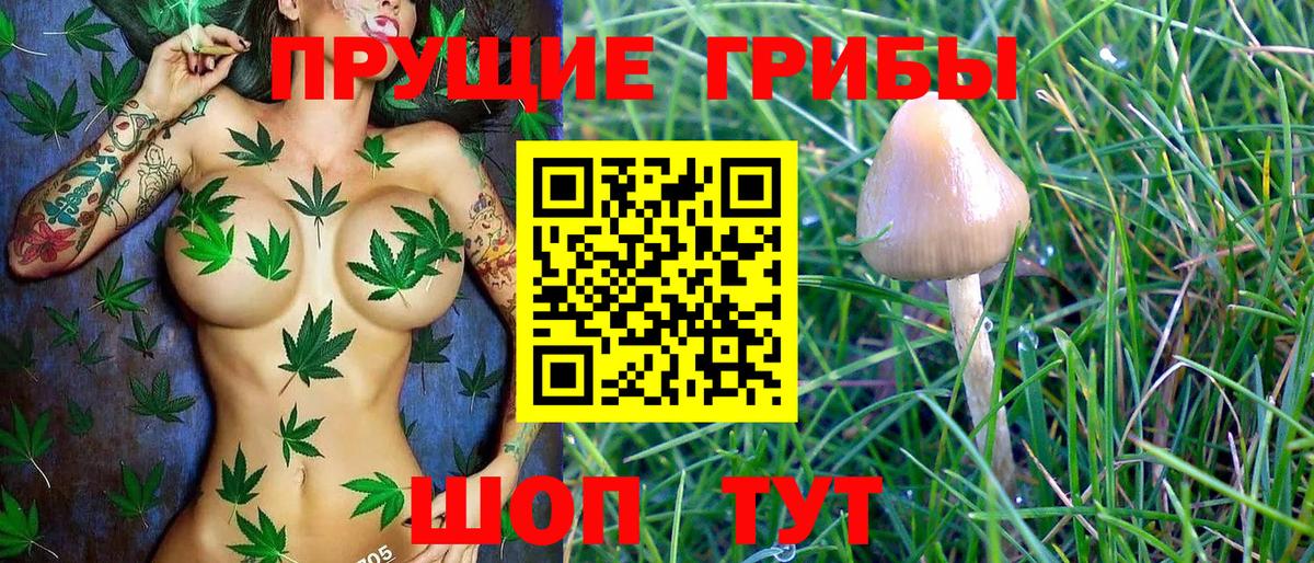 Королёв  Галлюциногенные грибы мухоморы  Галлюциногенные грибы GOLDEN TEACHER  Вход с VPN 
